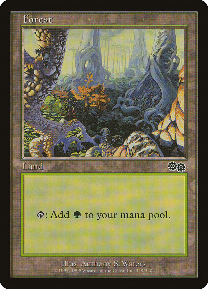 Forest card front