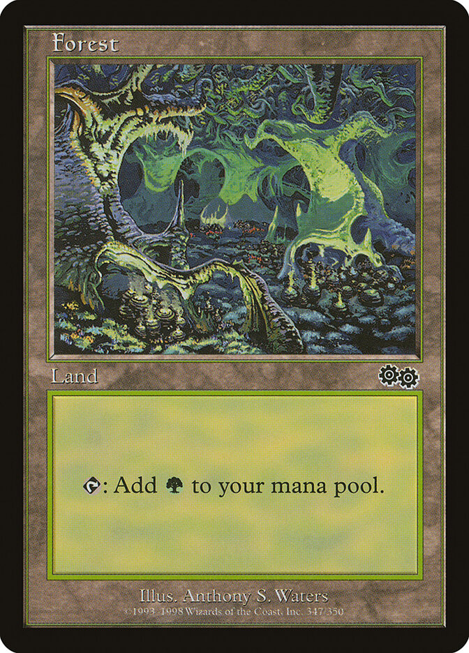 Forest card front