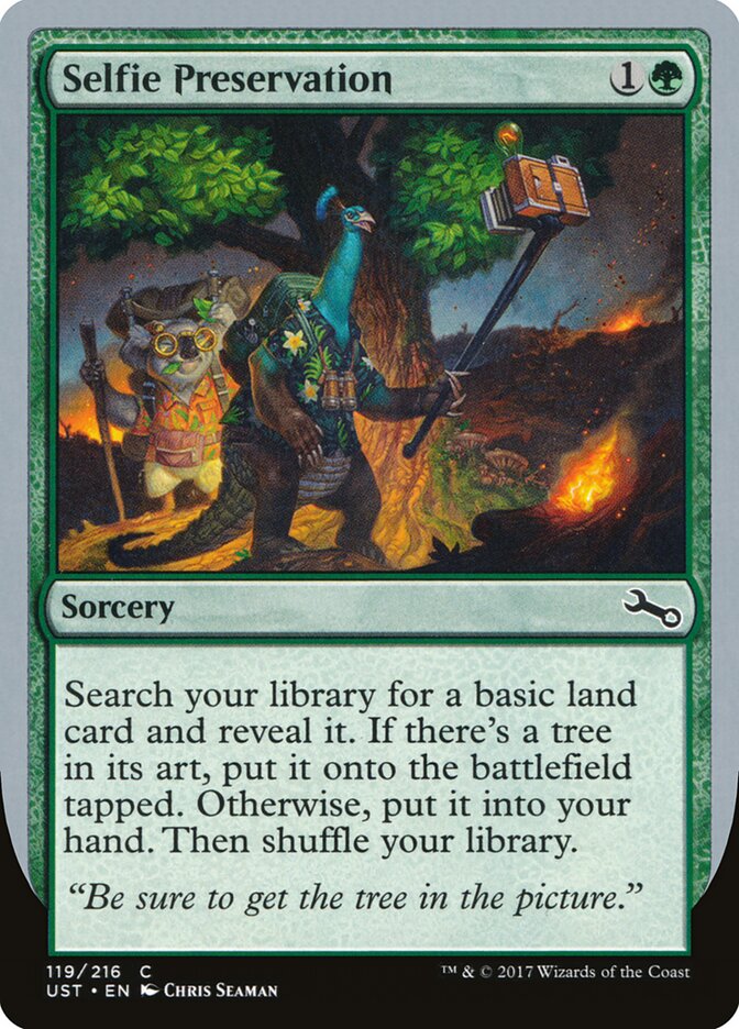Selfie Preservation card front