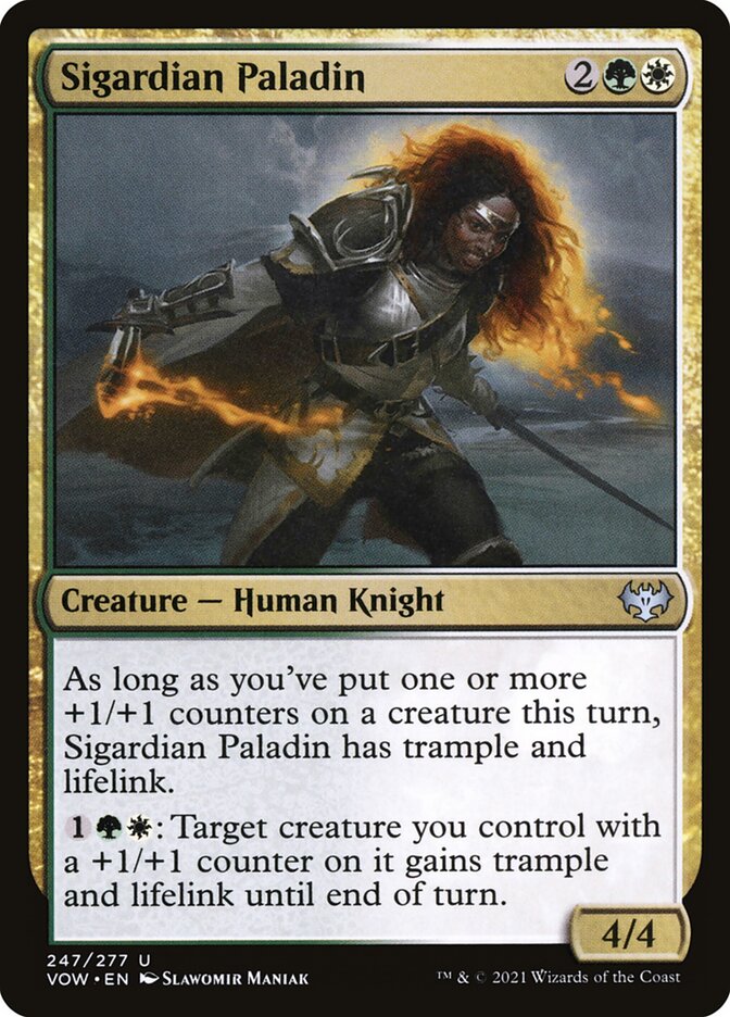 Sigardian Paladin card front