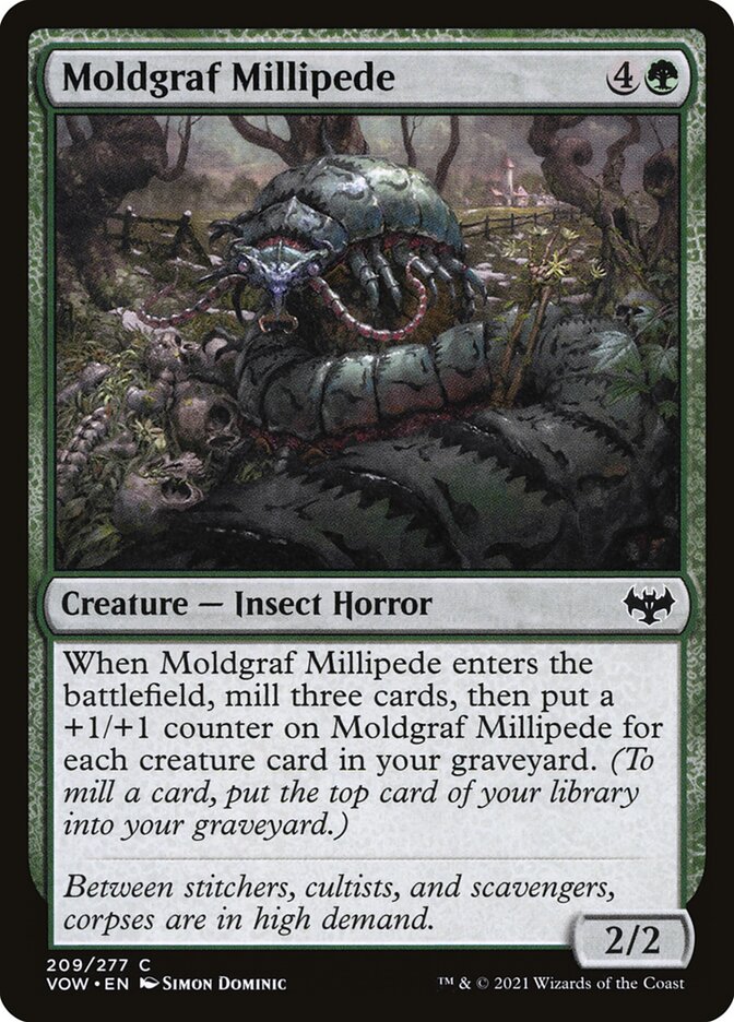 Moldgraf Millipede card front