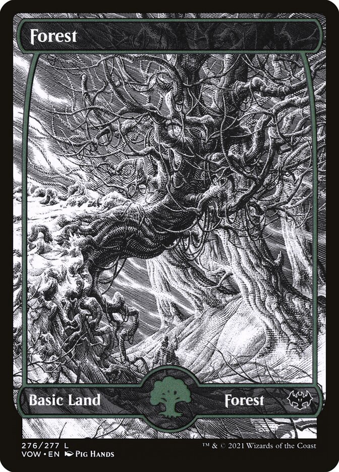Forest card front