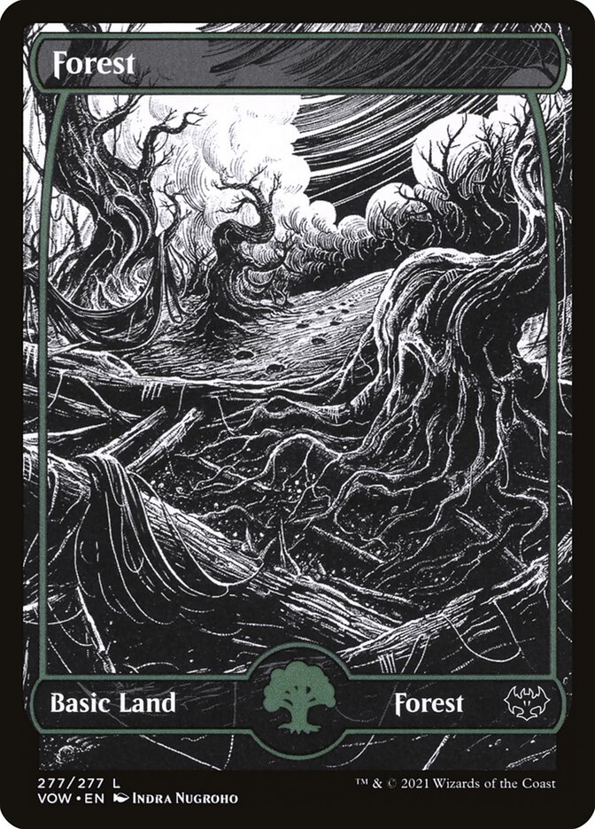 Forest card front