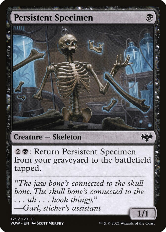 Persistent Specimen card front