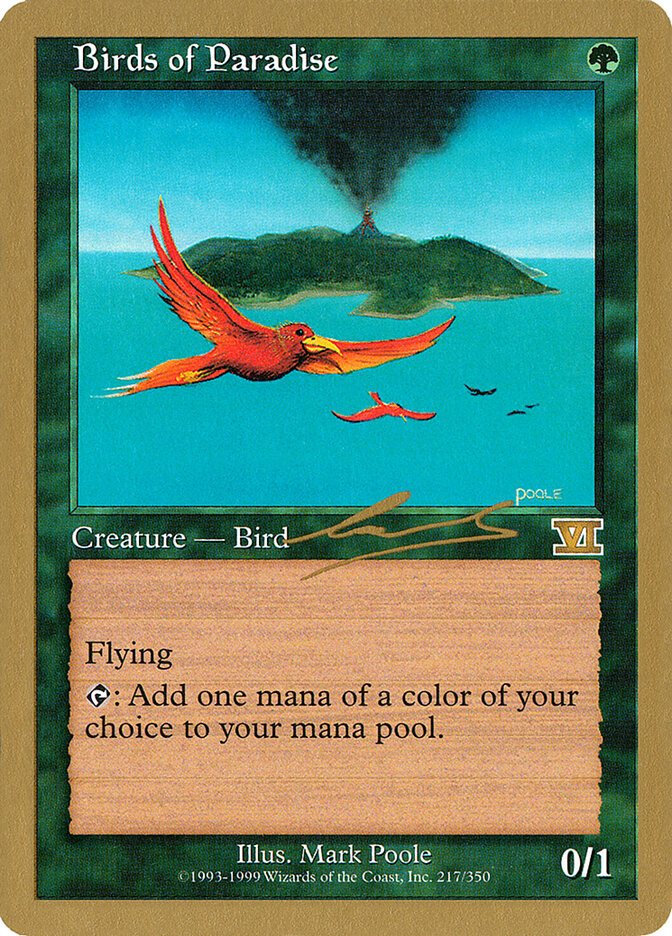 Birds of Paradise card front