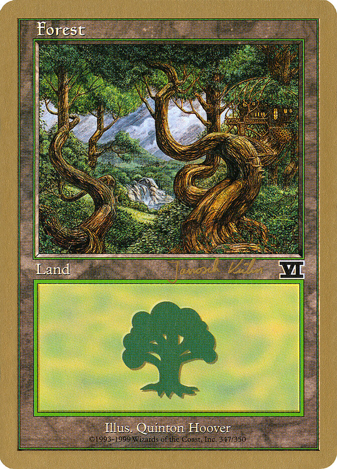 Forest card front