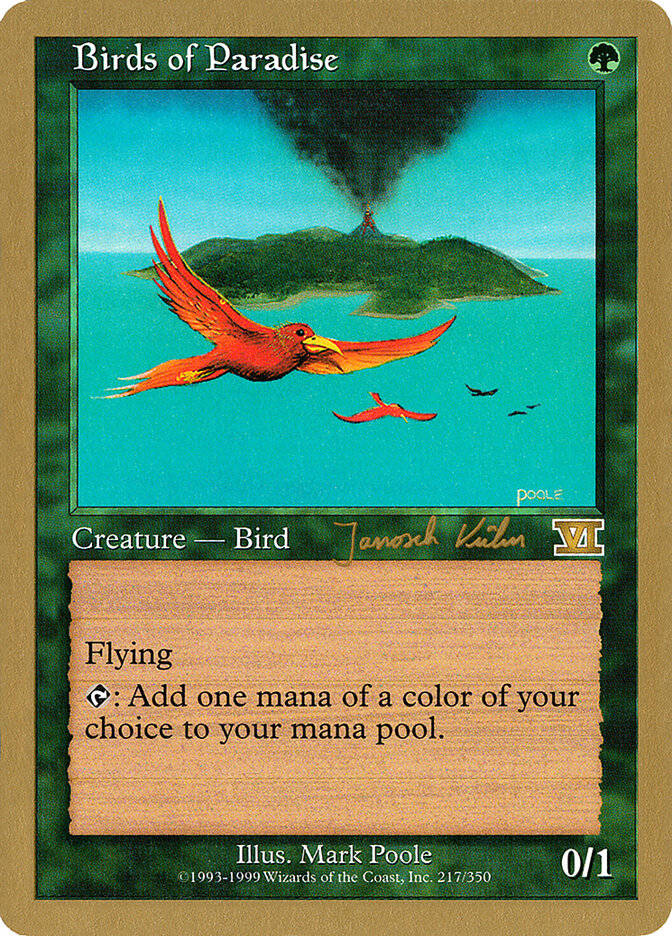 Birds of Paradise card front