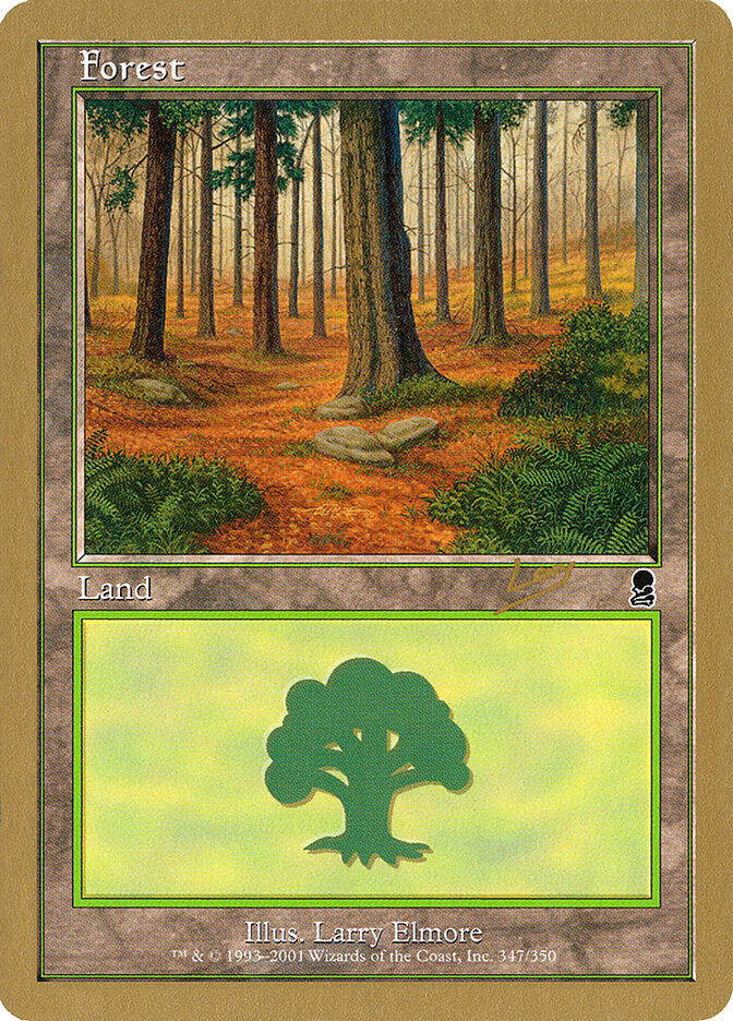 Forest card front