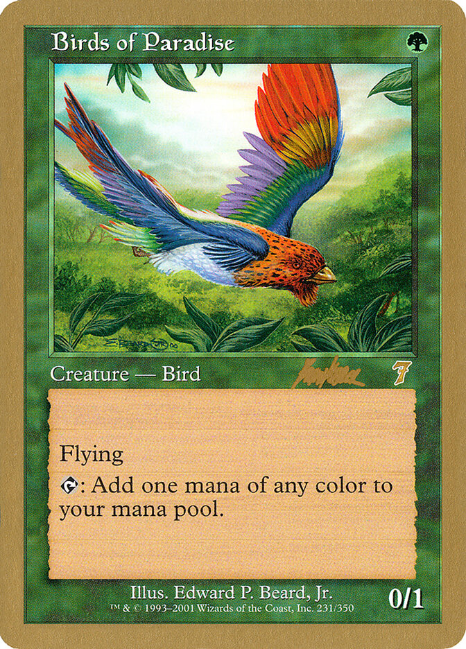 Birds of Paradise card front