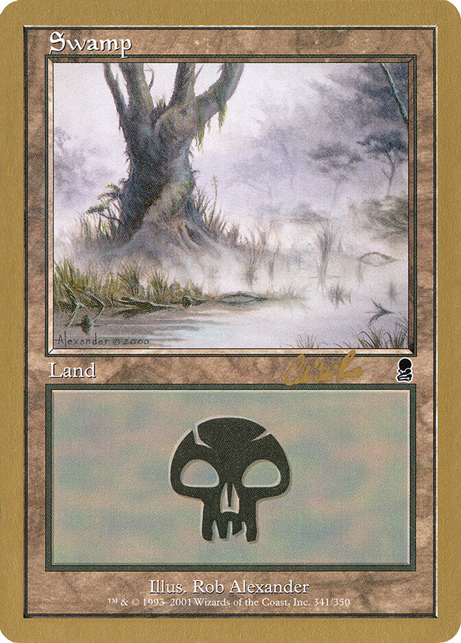 Swamp card front