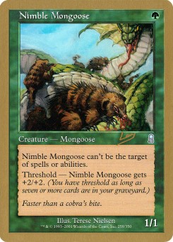 Nimble Mongoose