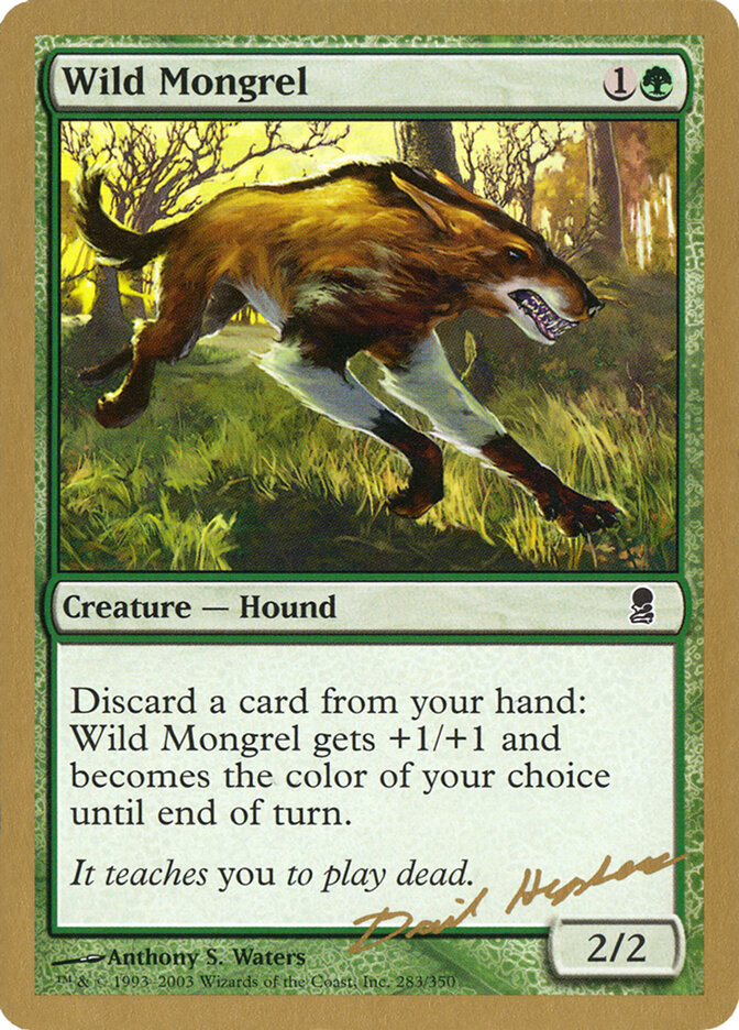 Wild Mongrel card front