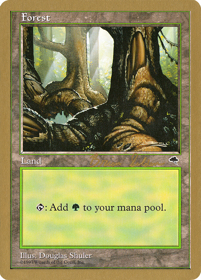 Forest card front