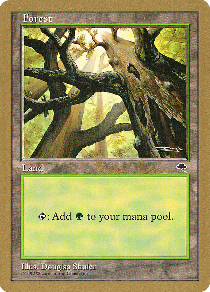 Forest card front