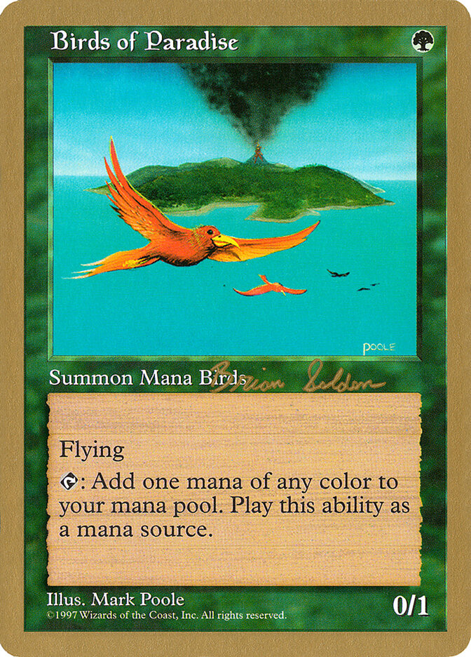 Birds of Paradise card front