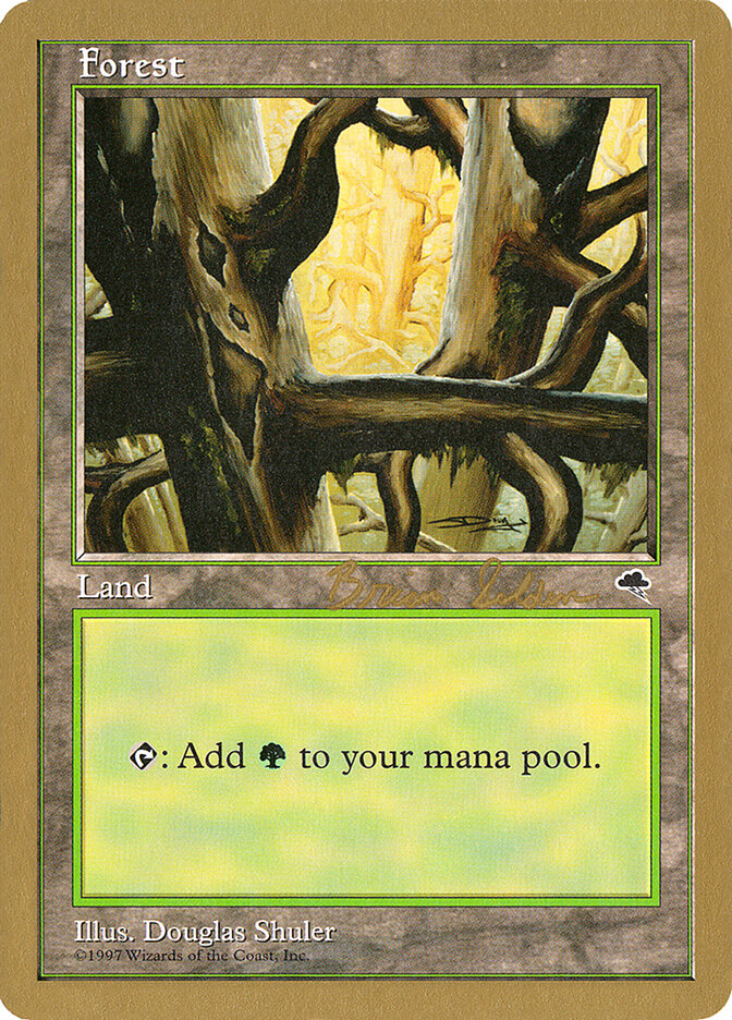 Forest card front