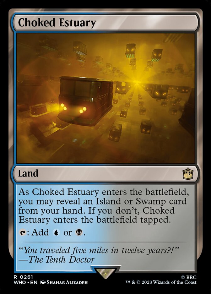 Choked Estuary card front