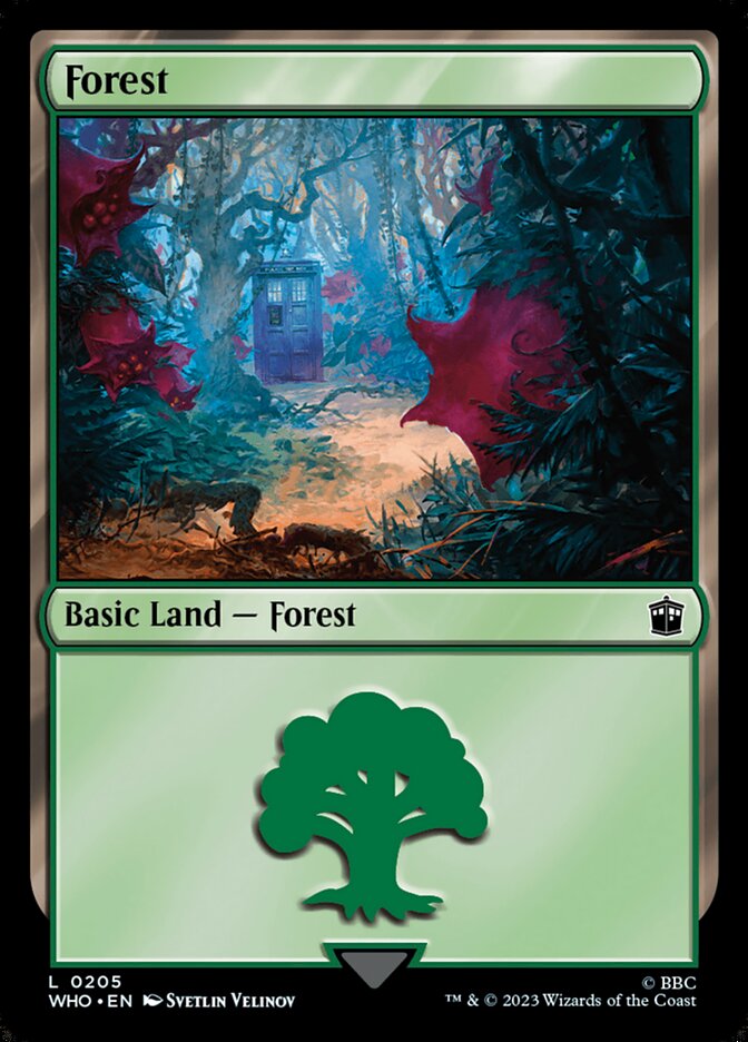 Forest card front