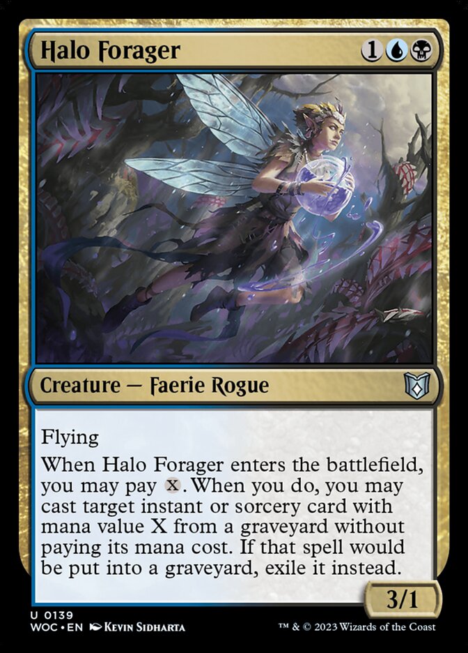 Halo Forager card front