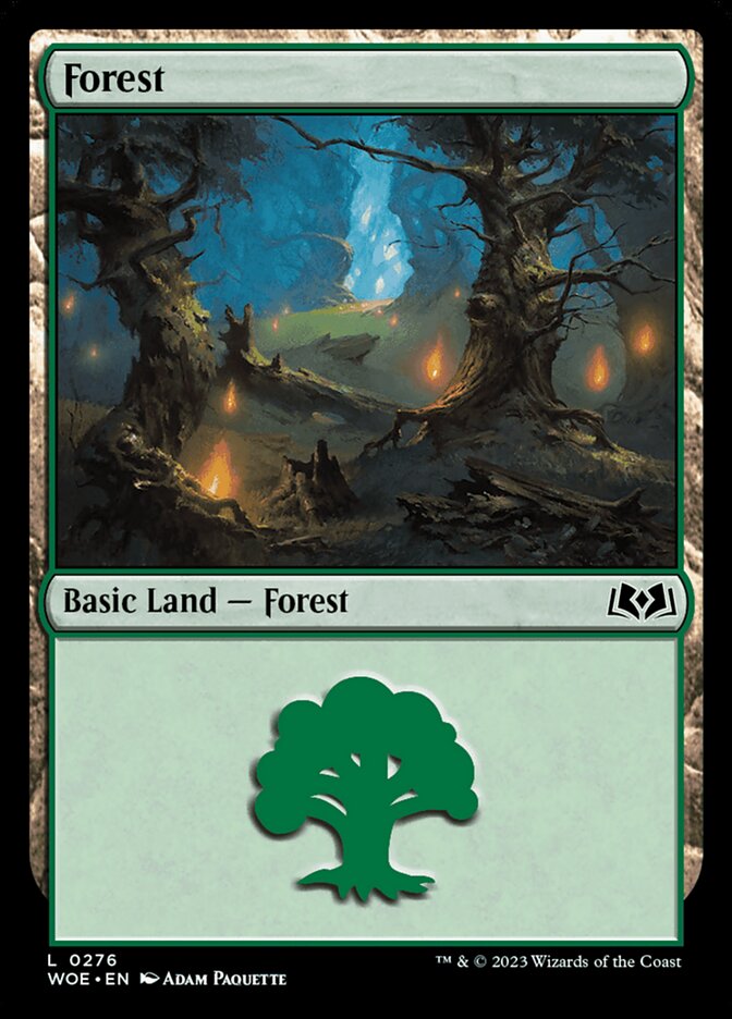 Forest card front