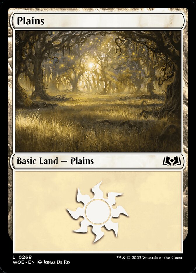 Plains card front