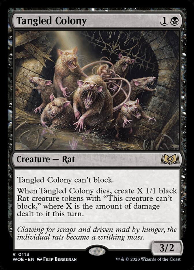 Tangled Colony card front