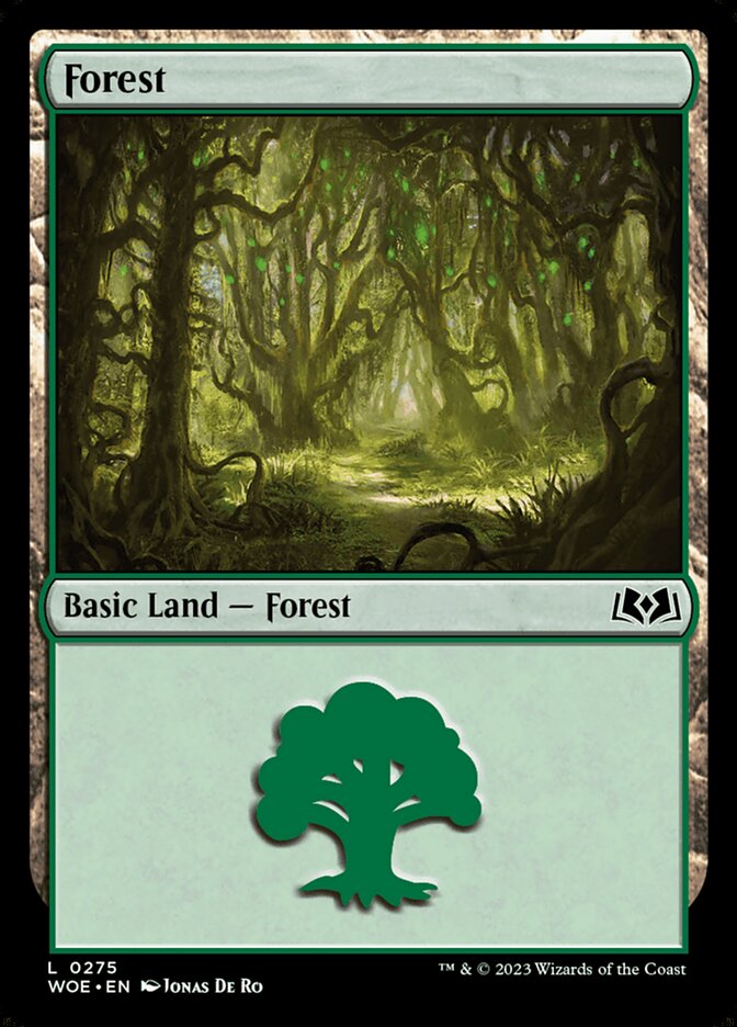 Forest card front