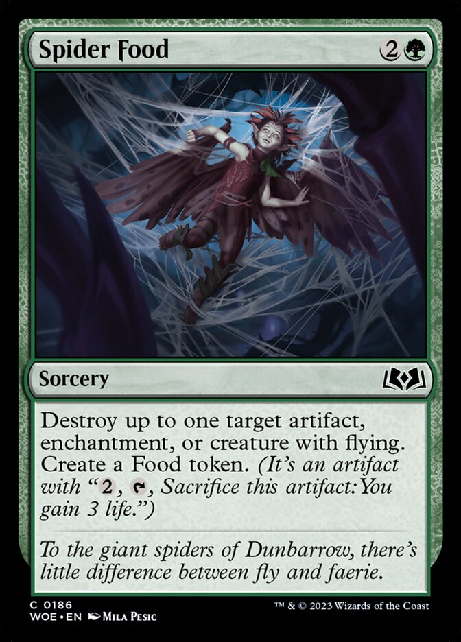 Spider Food card front