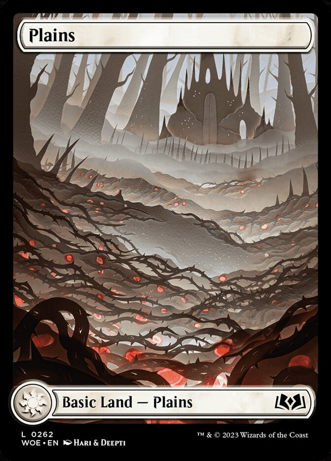Plains card front