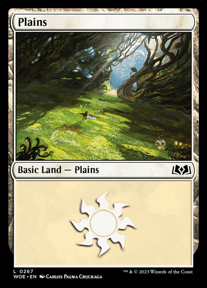 Plains card front