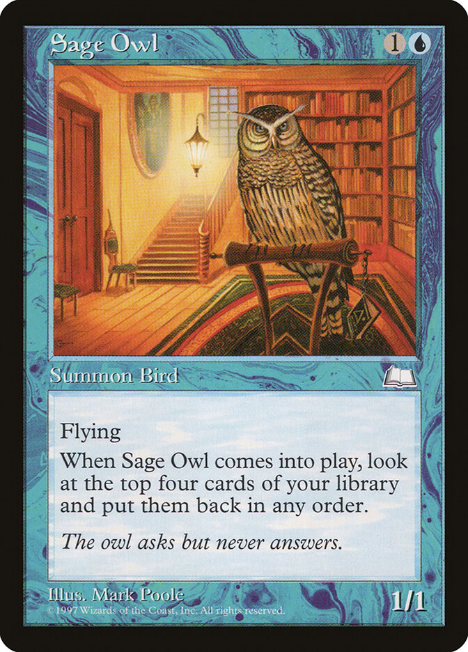 Sage Owl card front