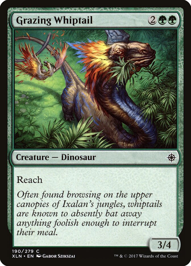 Grazing Whiptail card front