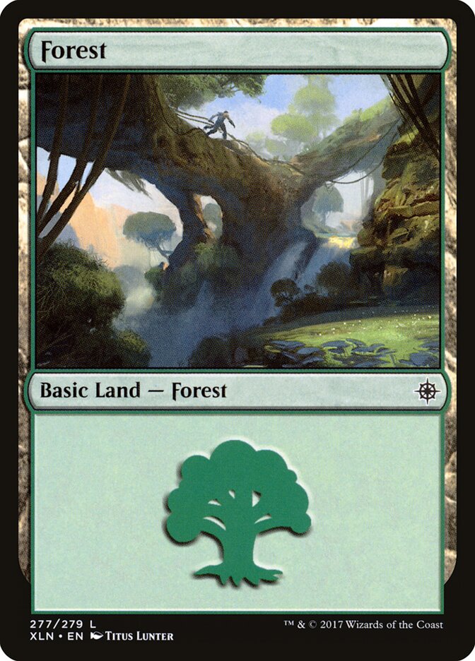 Forest card front
