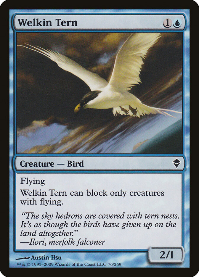 Welkin Tern card front
