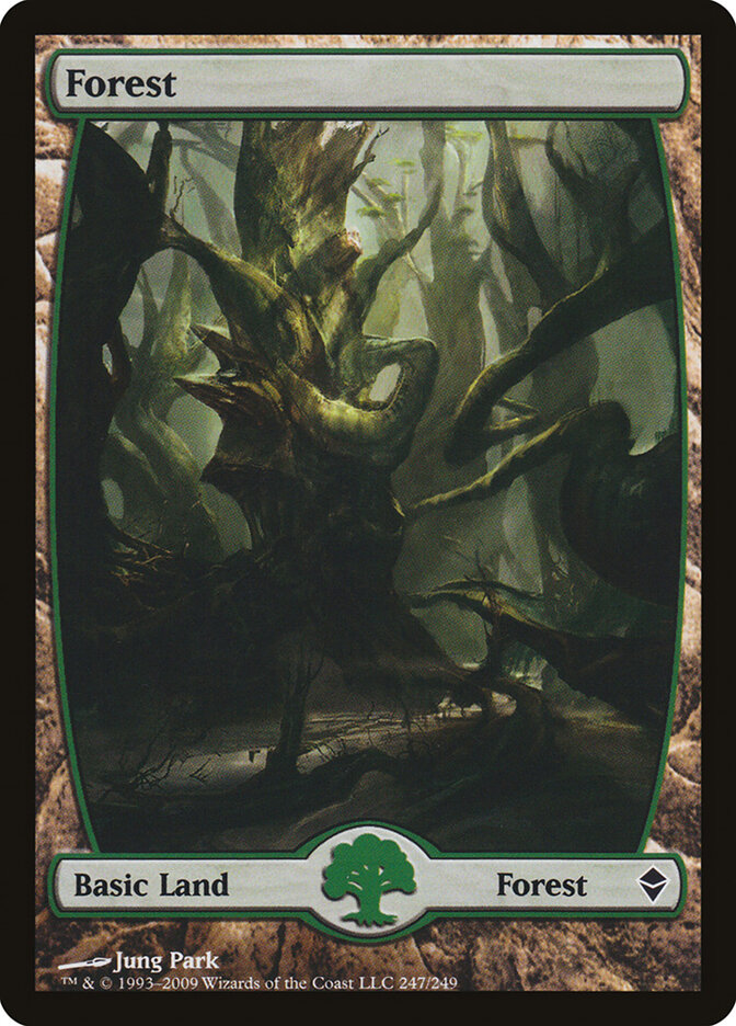 Forest card front