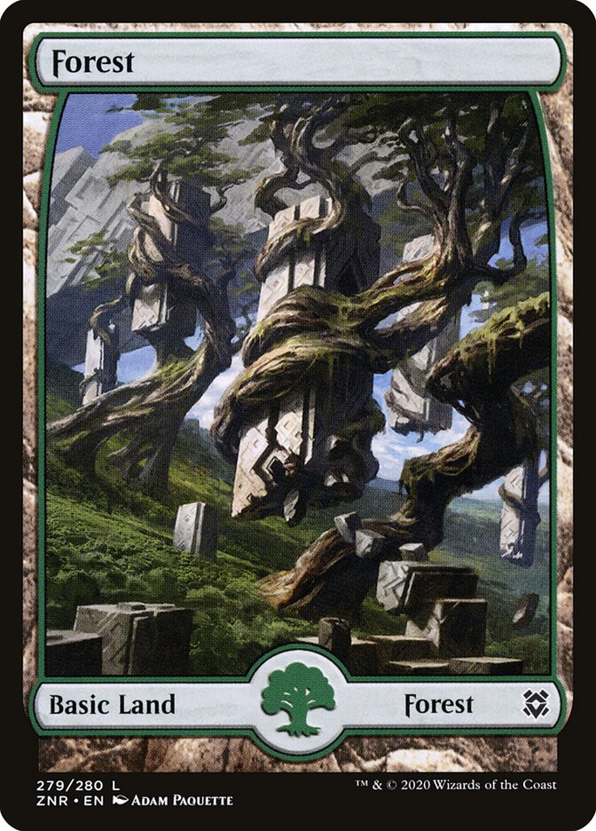 Forest card front