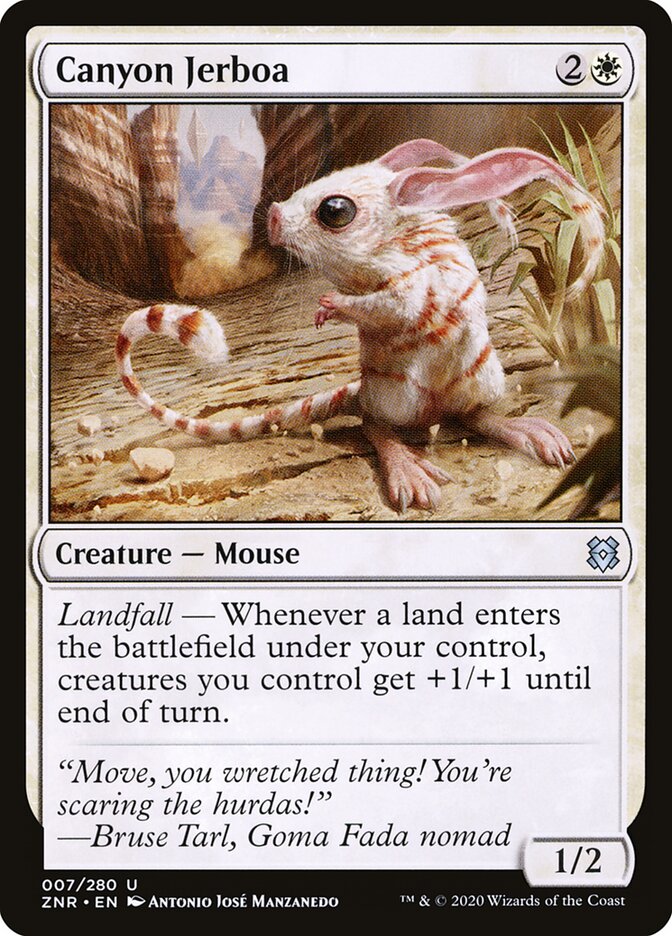Canyon Jerboa card front