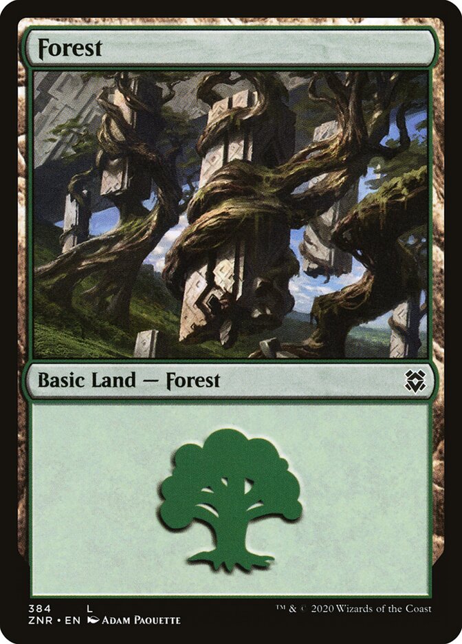 Forest card front