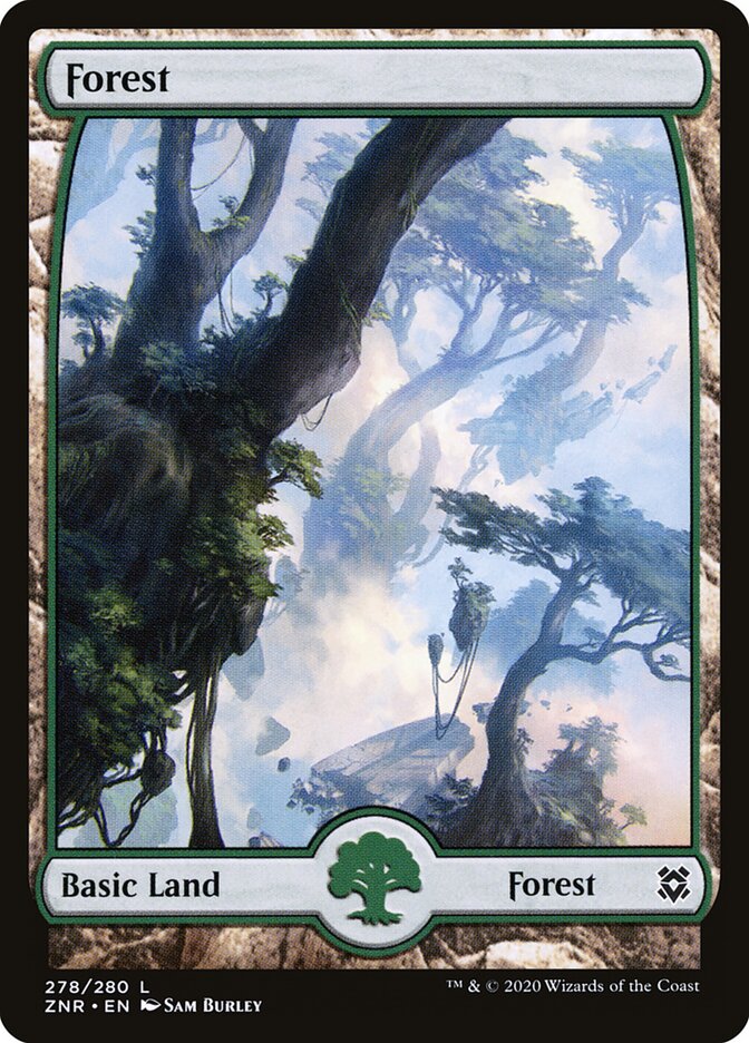 Forest card front
