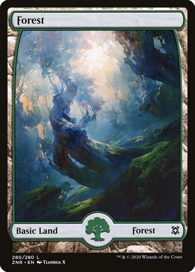 Forest card front