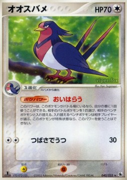 オオスバメ card front