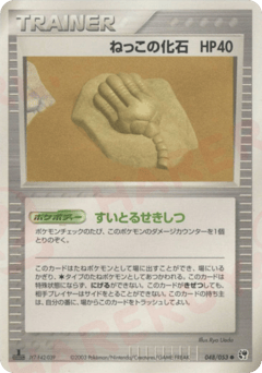 ねっこの化石