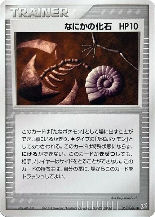 なにかの化石 card front