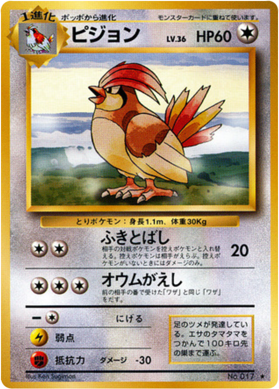 ピジョン card front