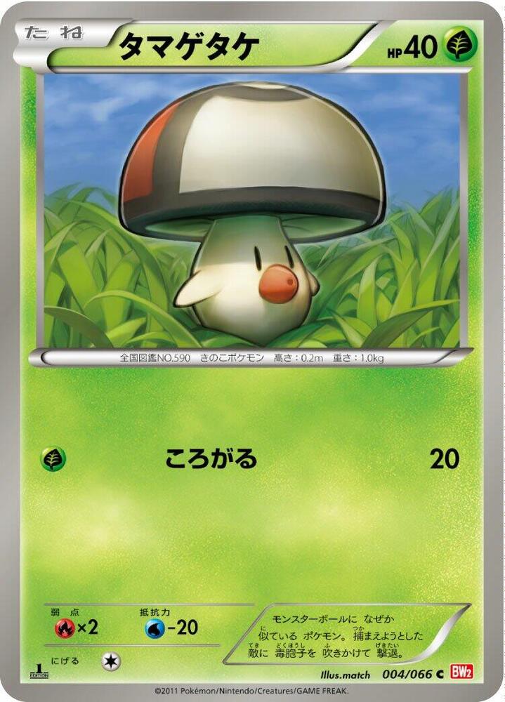 タマゲタケ card front