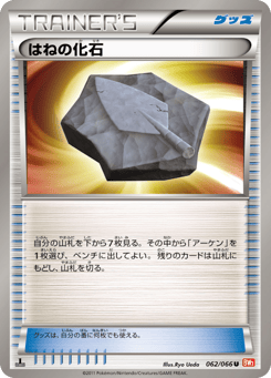 はねの化石