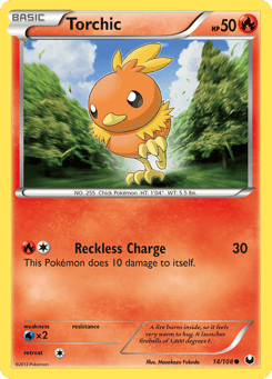Torchic