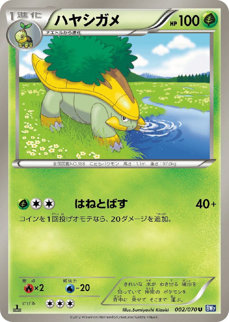 ハヤシガメ card front