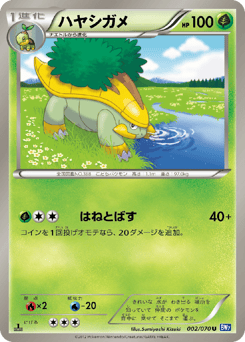 ハヤシガメ