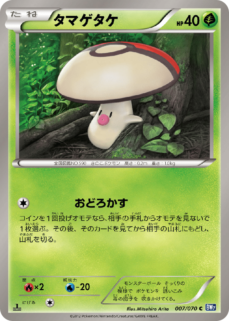 タマゲタケ card front